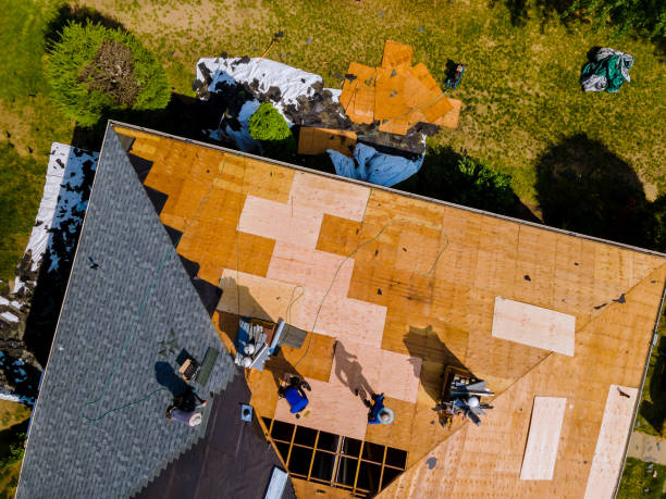 Quick and Trustworthy Emergency Roof Repair Services in Burien, WA