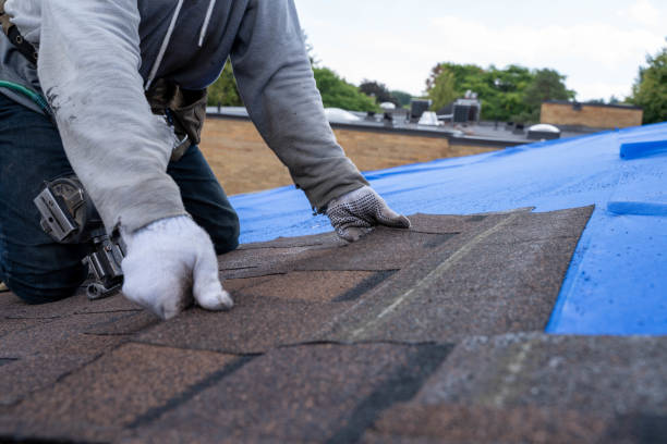 Best New Roof Installation  in Burien, WA