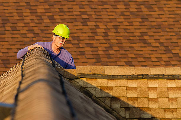 Best Roof Maintenance Services  in Burien, WA